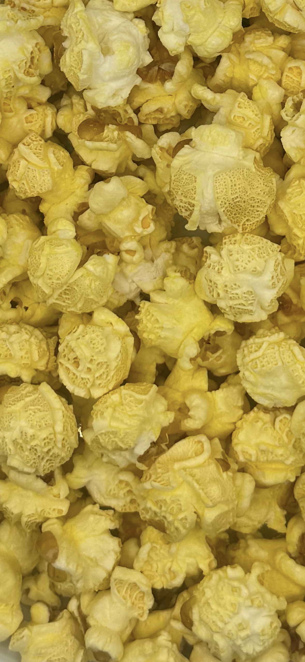 Popcorn Zucker